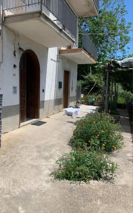 Pianillo Wonder House On The Amalfi Coast 빌라 외부 사진